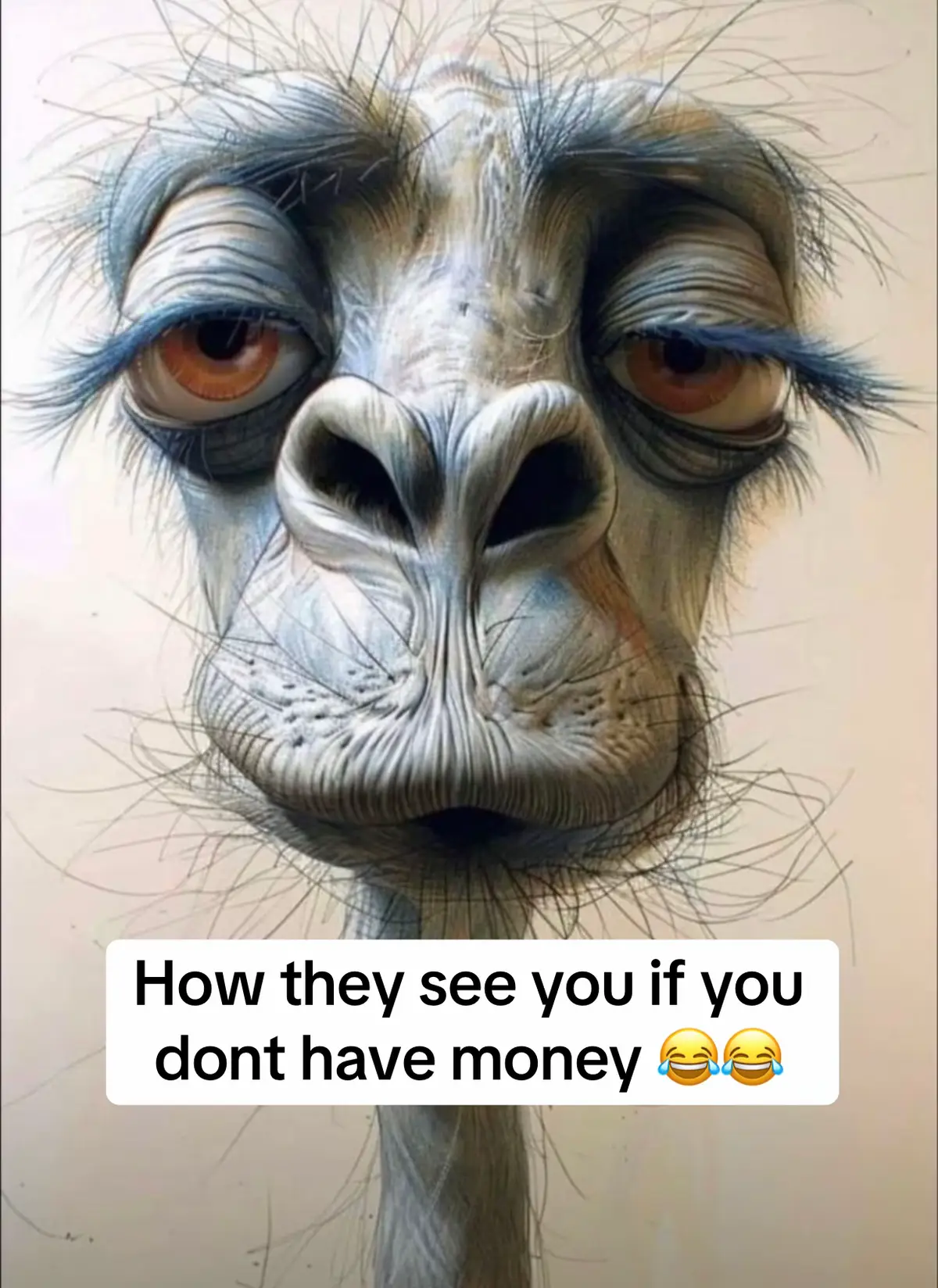 #funny #funnytiktok #views #viraltiktok 