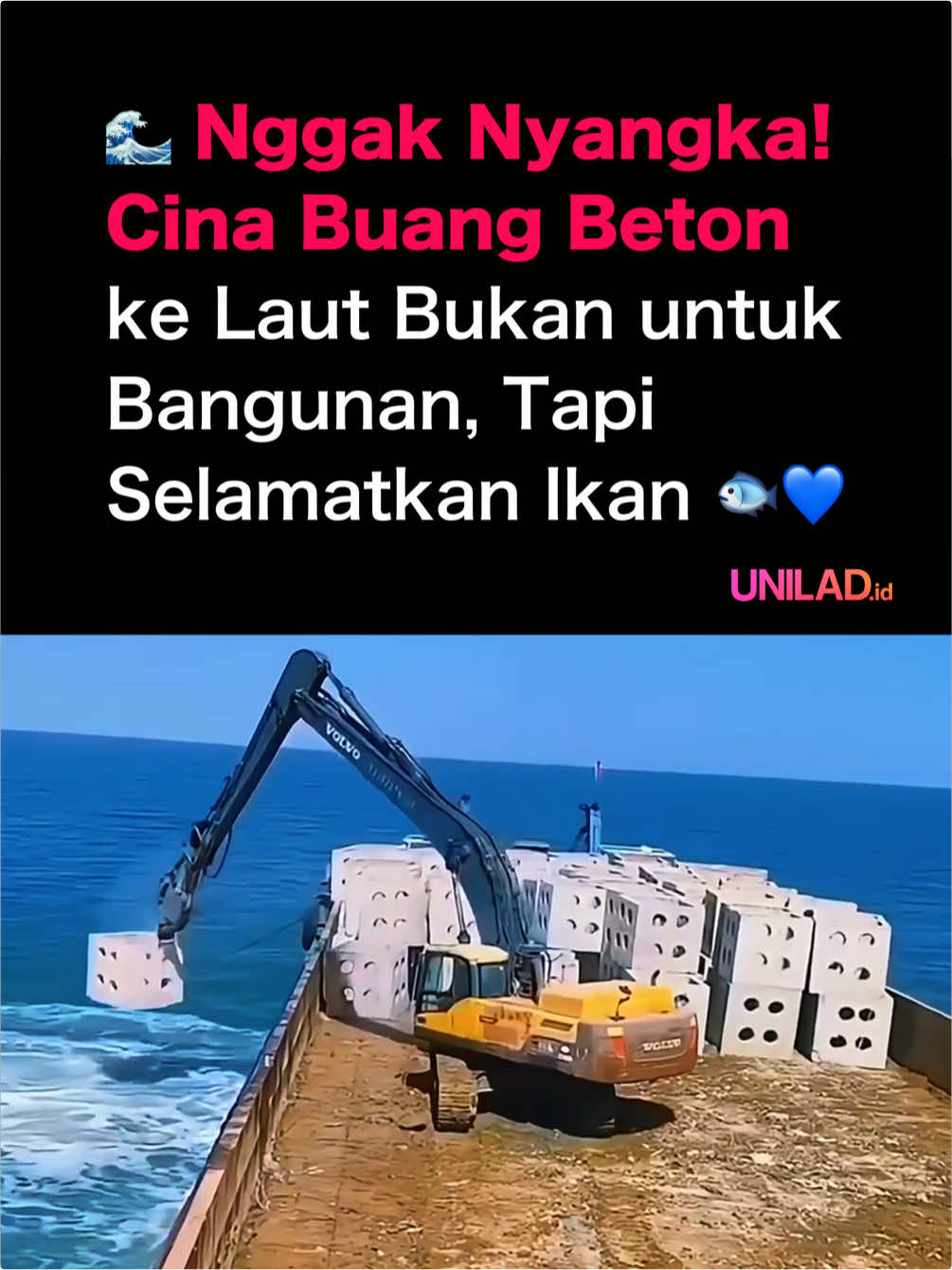 🌊 Nggak Nyangka! Cina Buang Beton ke Laut Bukan untuk Bangunan, Tapi Selamatkan Ikan 🐟💙 Bisakah kamu percaya? 😱 Cina setiap tahun membuang ribuan balok beton ke laut… bukan untuk konstruksi, tapi untuk menyelamatkan laut dan ikan! 🐠 ✨ Balok beton daur ulang ini jadi terumbu buatan — meniru formasi batuan alam, penuh lubang untuk tempat ikan bersembunyi, bertelur, hingga jadi rumah bagi spesies yang sempat hilang. 📈 Hasilnya? Laut yang tadinya rusak akibat polusi & overfishing perlahan hidup kembali! Siapa sangka, benda sekeras beton bisa jadi penyelamat kehidupan laut? 🌍💙 #Cina #OceanRescue #FaktaLaut #SeaLife #Ekologi        