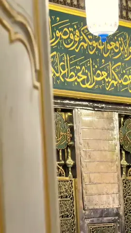 ‏*یاددہانی*... درود شریف پڑھ لیجیے...🌷 *صَلَّى اللّٰهُ عَلَيْهِ وآلہ وَسَلَّم* ♥️ #unfreez #unfreezemyacount #dontunderreviewmyvideo #100kviews #1million 