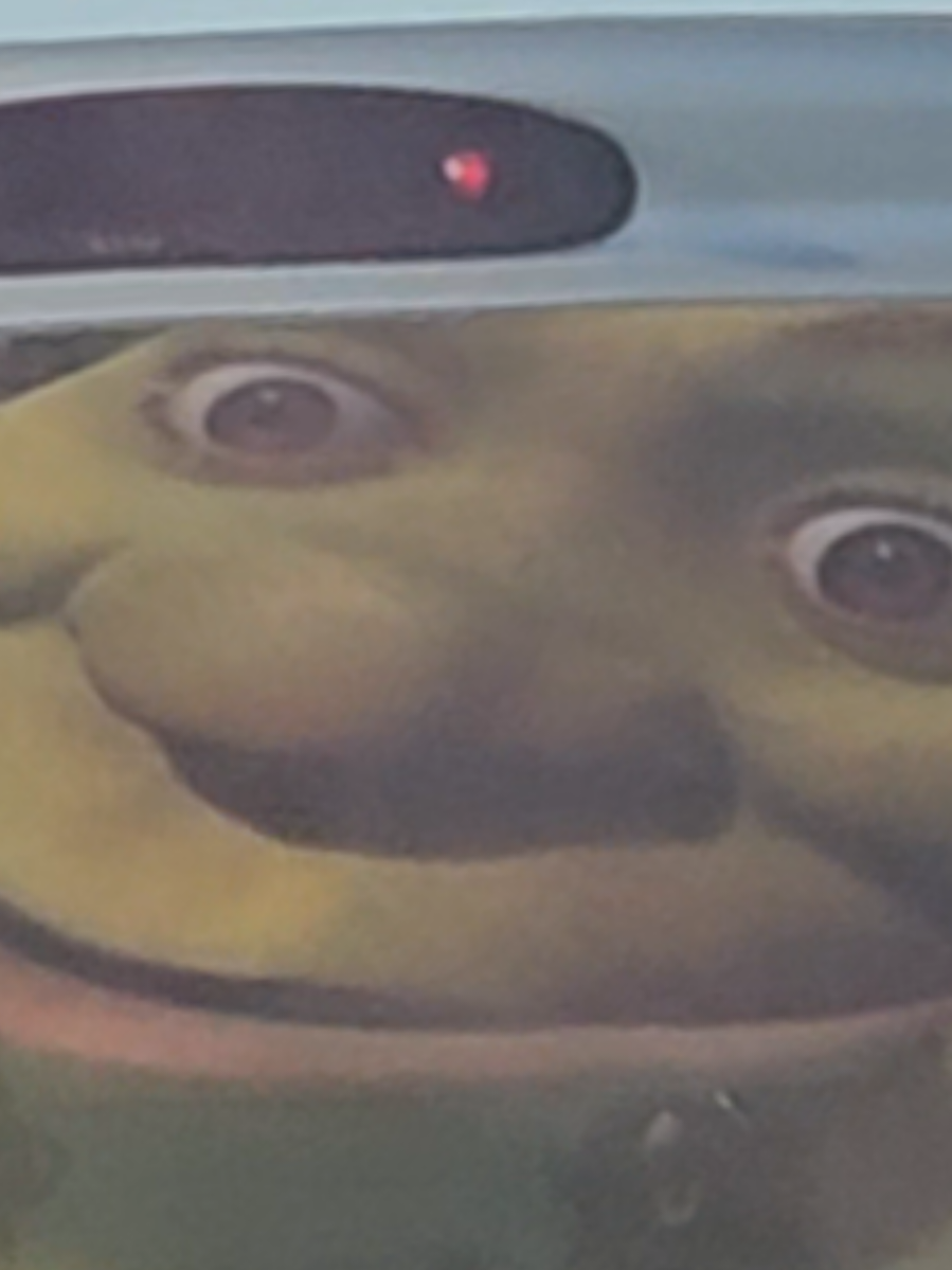 Shrek 2028  #Shrek #fyp #fypシ゚viral #fypage #labubu 