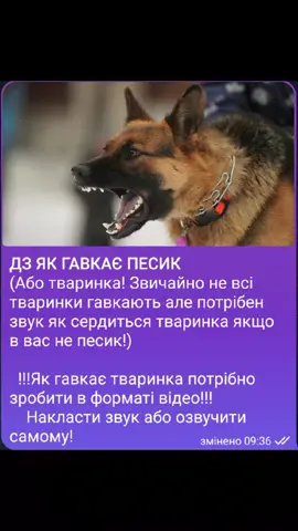 люди давайте без ХЕЙТУ!? ми ще діти! хочемо гратися і все! ваша думка нам не цікава!#on #rgy #elbruso #новийхаус 