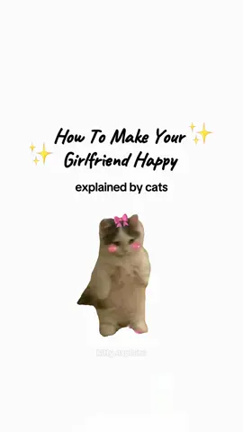 How To Make Your Girlfriend Happy explained by cats :) #catanimation #girlfriend #cats #kittycat #kittyexplains 