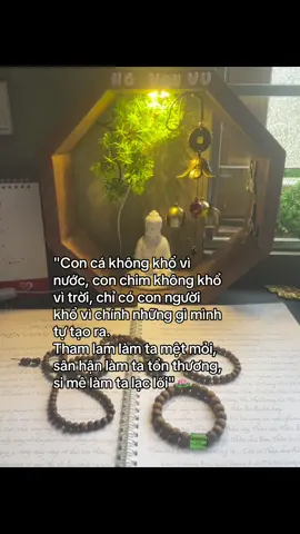 Phần 166 | 