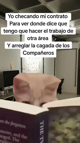 #CapCut #memecut #memestiktok #malditotrabajo #vidaconhumor 