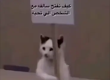 كيف تفتح سالفه مع الشخص الي تحبه 🙂✨ . . . . . . . . . . #الشعب_الصيني_ماله_حل😂😂 #مالي_خلق_احط_هاشتاقات #foryoupage #طششونيي🔫🥺😹💞التخمط🌝💆🏻‍♀️🔫 #foryou @° „ ★ 𝐋 𐙚 ྀིྀི 