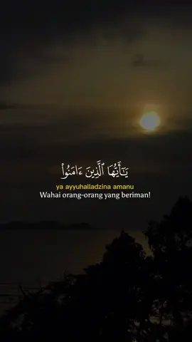 #tadabburalquran #dzikrullaheverytime 