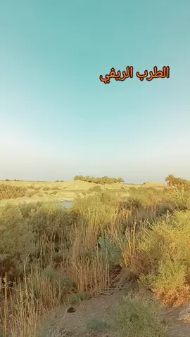 #الطرب_العراقي_الاصيل #موالات_حزينة_عراقية💔 #موالات_حزينة_عراقية💔 #الطرب_العراقي_الاصيل #الطرب_العراقي_الاصيل 