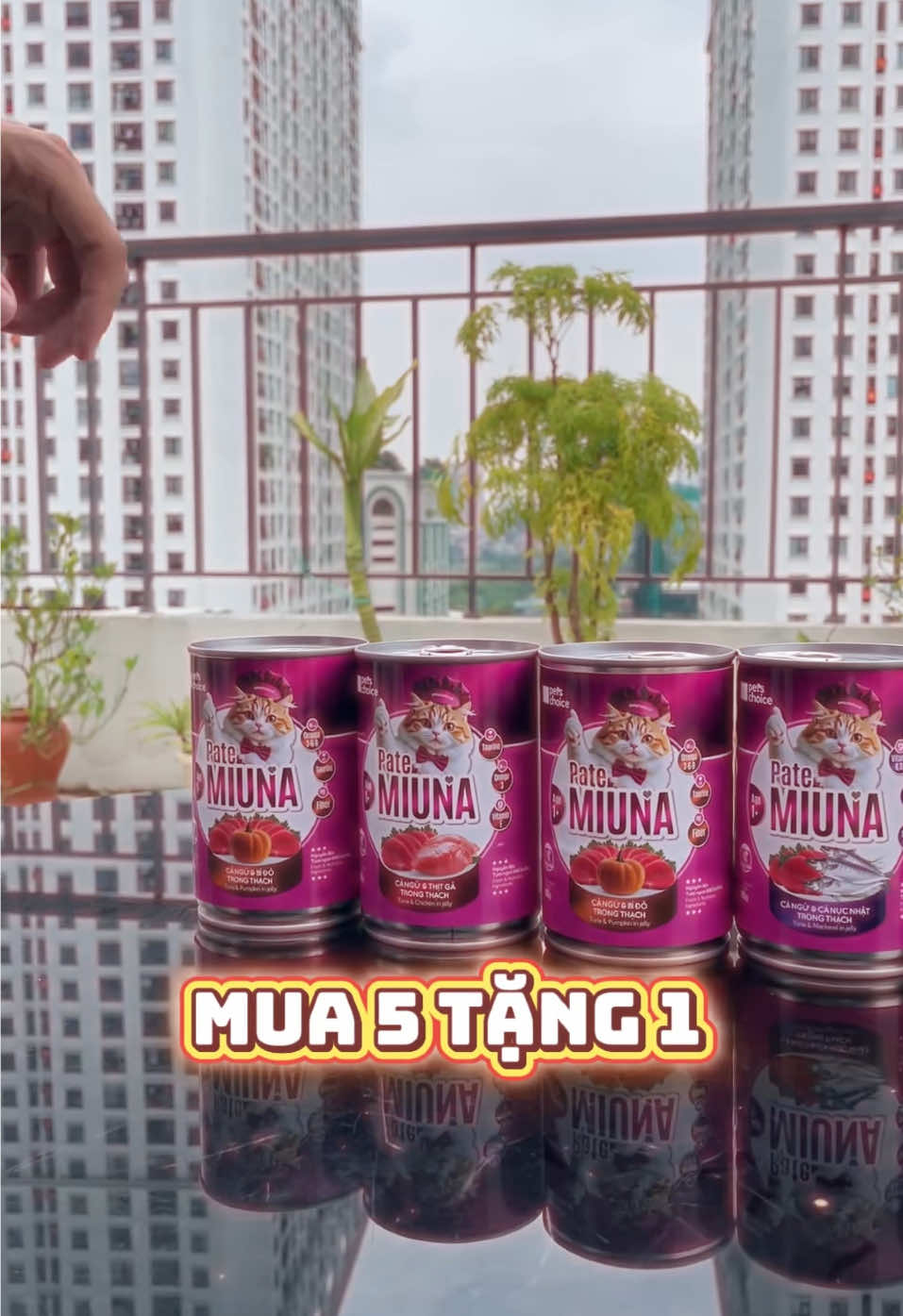 🐾 Pate Miuna –  Boss ăn là ghiền! 🎉 Mua 5 tặng 1 – đủ 4 vị ngon, dinh dưỡng. #PateMiuna #BossYeu #UuDai5Tang1 #ThucAnChoMeo #MiunaChuanDinhDuong