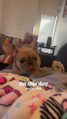 #onthisday 
