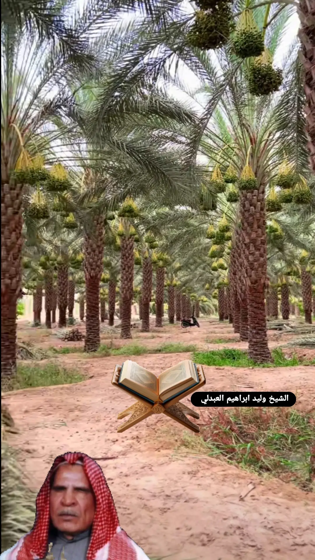 #كتب_عليكم_إذا_حضر_أحدكم_الموت #سورة_البقرة #quran_alkarim_quanvideo #ebrahim_salama86 #وليد_إبراهيم_العبدلي 