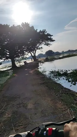 A beautiful moment. The roads are submerged in water.#viral #trending #creatorsearchinsights 