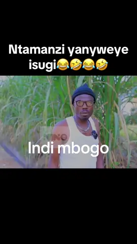 Imbogo yinidi😂🤣 #gtuff #fypシ゚ #fyp #rwandatiktok🇷🇼 #burunditiktok🇧🇮 #nzovu 