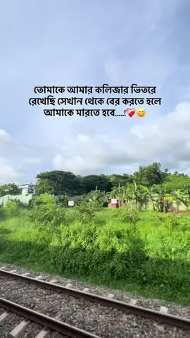Hmm...!😊 #newidpleasesupport😊 #foryou #foryoupage #captions #trending #sitakundu_maya #mantion_your_love♥️🌍🔐 #bangladesh🇧🇩 