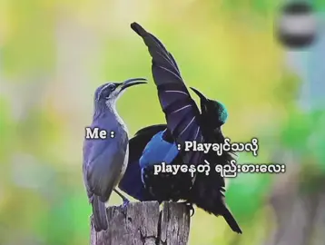 #fppppppppppppppppppp 