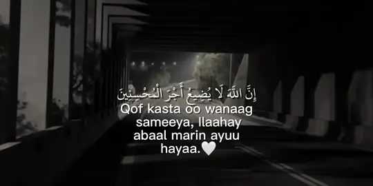 Repost.🤍 #maxamedoww30 #foryoupage #somalitiktok #foryou 