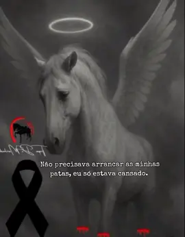 Que a justiça seja feita.  #homenagem  #cavalo  #justice  #animals  #monetizartiktok 