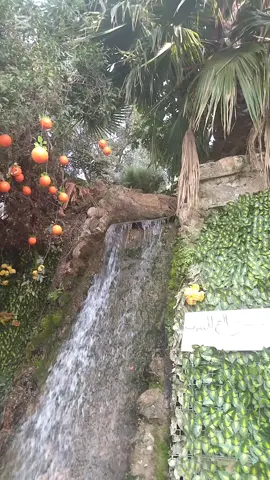 اجيو تشوفون معايا الطبيعة الخلابة في أقشور 🌳🇲🇦#شفشاون_الجوهرة_الزرقاء #Fyp #ForyoypAge #viralditiktok 