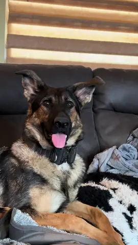 Such a precious gift this girl is… sweet Freya.