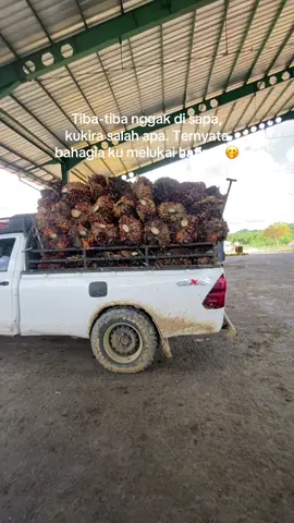 D copy kah🤭😂#sawitbalap #lansirsawit #hilux4x4 #sawitkalimantan #wahau_kutaitimur 