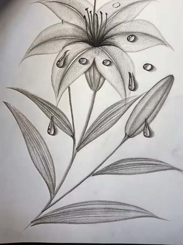 How To Draw With a Pencil ✏️  . . . #artist #sketch #draw #drawings #drawingchallenge 
