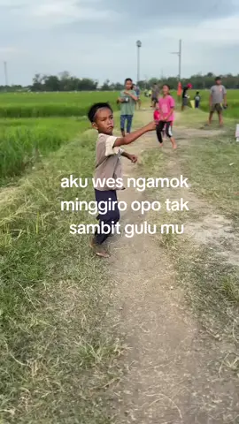 minggiro timbangan tak sasak #layangan #fyp #17agustus 