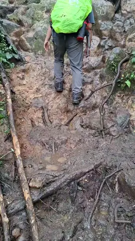 landai kok track nya.... cocok untuk pemula #gunungdempo 