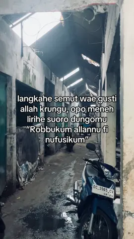 #jowokuciwoo #jowocidro #jowobaper #jowostory #foryoupage 