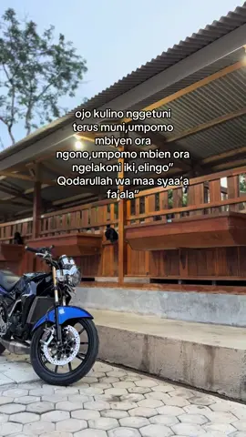 Kabeh wes ono sing ngatur😇#bertofarm #fyp #peternakmuda #sampitaknyeni 