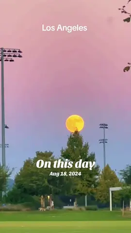 #onthisday 