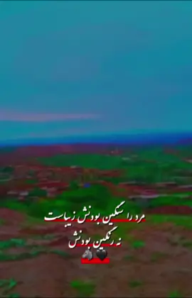 #CapCut#Sayyad_Sar_e_Pul 