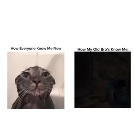 Credits to @alimobilett for the vid! . . . . . #zyxcba #makemefamous #codmobile #fyp #codm 