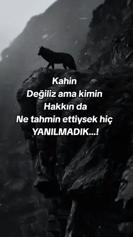 Kırk gün kar yağar, bir gün av olur,her şeyin vakti var..!!👈🔥#fypシ゚ #kesfet 