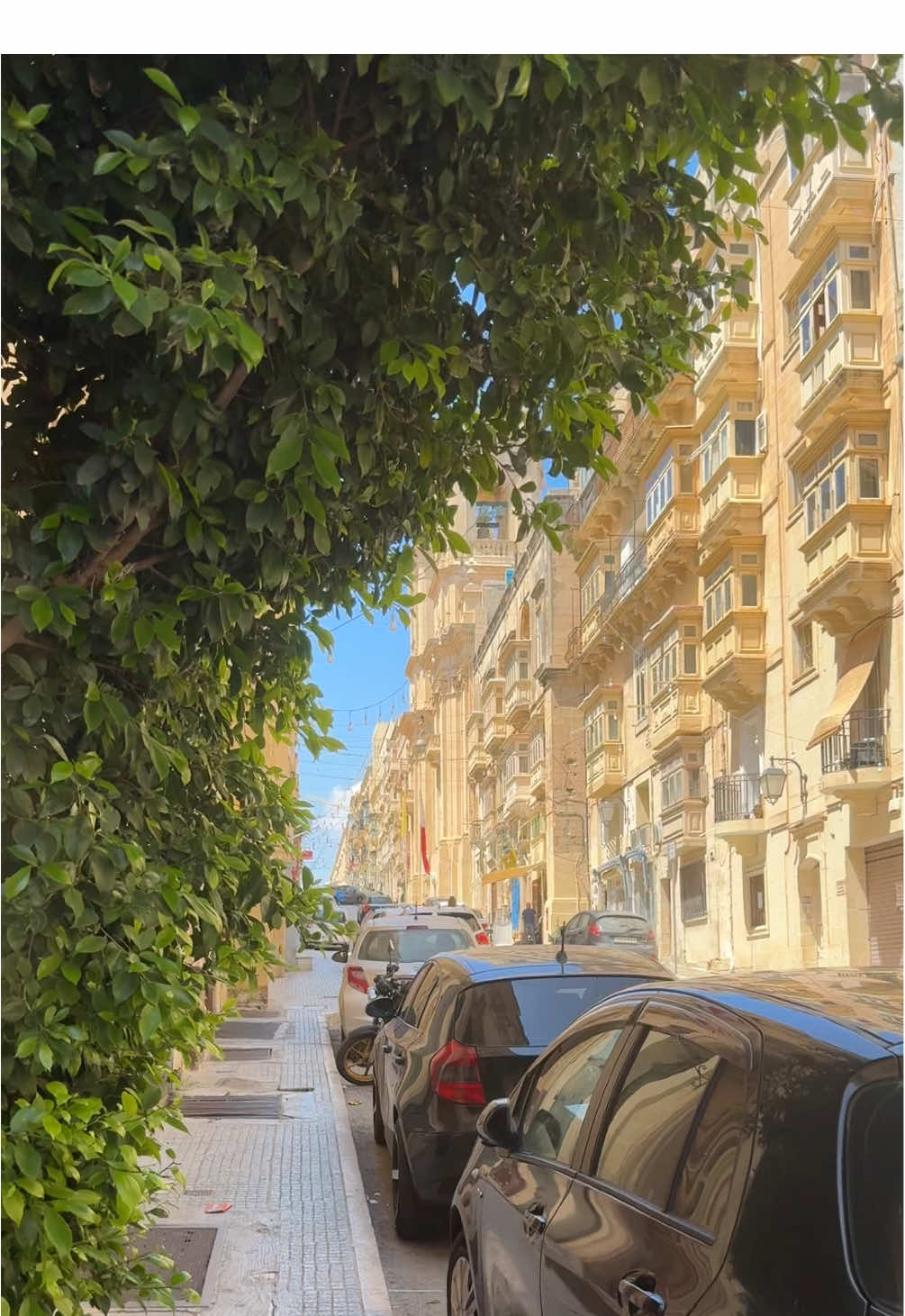 #malta #europe #eurosummer #mediterranean 