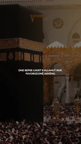 Dhe sepse Ligjet e Allahut nuk e favorizojnë askënd. #islamicvideo #islamic_media #islamicpost #islamicreminder #fejaislame 