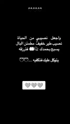 #الخليل #CapCut #CapCutVelocity 
