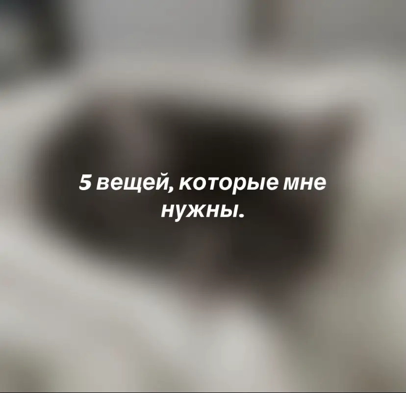 #fyp #ты #щп #щитпост 