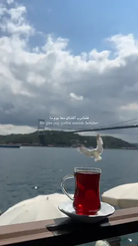 My fav spot 💕🕊️🇹🇷  #اسطنبول🇹🇷 #تركيا #fypシ゚viral #fyp #istanbul  