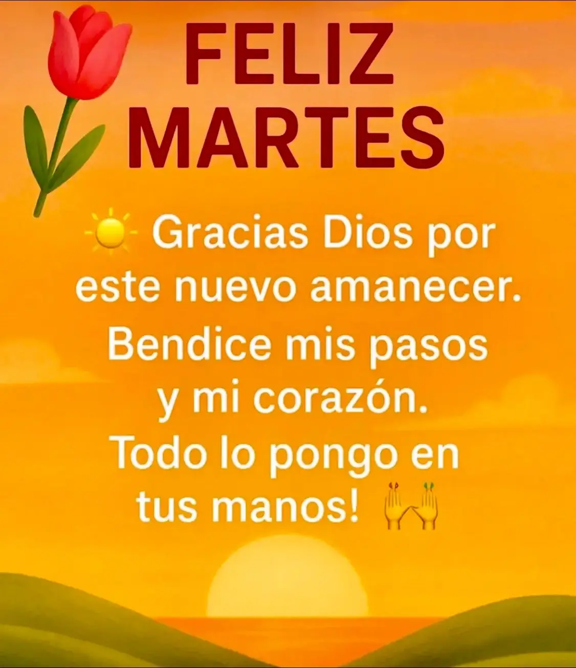 #lluviadebendicionesparatodos☔️🙏🏼 #graciasadiosportodo✝️🤲🏼 #condiostodoesposible🙏🏼🦋 #entusmanosestamosseñormioydiosmio🤲🏼🙌🏼🤝 #graciasDiosporundiamasdevida🙏🏼♥️🦋 