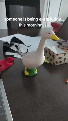 Any tips on how to deal with a judgy coworker who also happens to be a porchgoose please send them my way 😆 #fyp #sideeye #porchgoose #relatable #counselor 