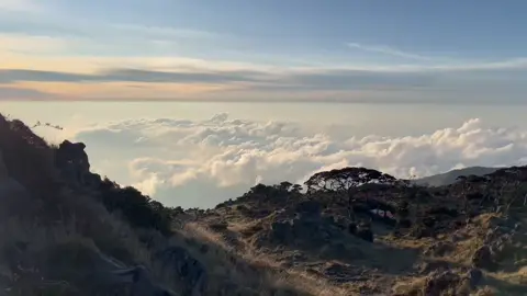 #topsulawesi #westsulawesi #fypmountain 
