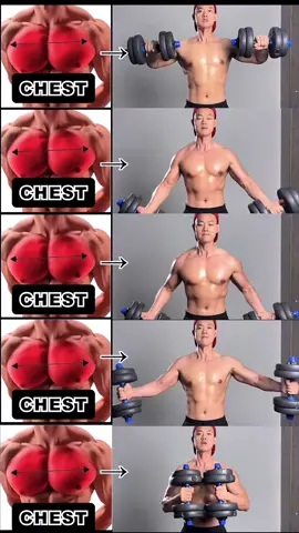 The secret of enlargement of pectoral muscles. 💪 