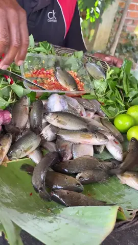 OMG Amazing Eat fresh Fish recipe