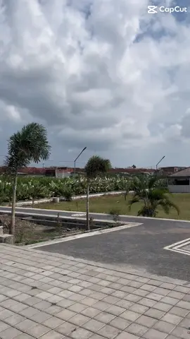 Untuk masuk ke kebun jambu gratisss tidak dipungut biaya, harga jambu per Kg 12k ✨