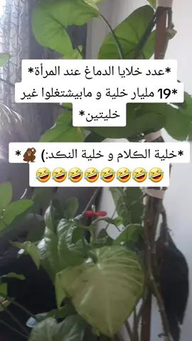 #شعب_الصيني_ماله_حل😂😂  #نكت_مضحكة  #نكت  #اضحك_وانسى_همك  #سوريا_تركيا_العراق_السعودية_الكويت 
