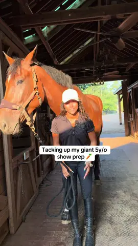 he was soooo good  #fyp #horse #horsetok #fypage #viral 