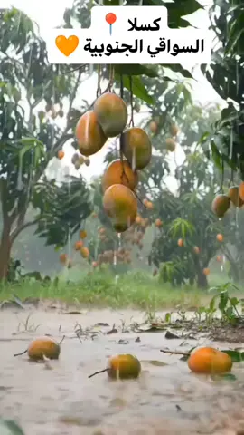 السواقي 🥭🥦🌳 #كسلا #كسلا_السواقي_الجنوبية_نادي_الفلاح #كسلاالجمالوالقاش #ارض_الطيبه #sudanese_tiktokمشاهير #سودانيز_تيك_توك🇸🇩 #الشعب_الصيني_ماله_حل😂😂 #سودانيز #tiktok #sudanese_music #sudanese_tiktok #sudanese #sudanese_songs #foryou #foryoupage #fyp #fypシ゚ #كسلا_السودان #كسلا_بورتسودان_قضارف #كسلاالجمالوالقاش #القوات_المسلحة_السودانية #السودان🇸🇩 #السودان_مشاهير_تيك_توك #السودان_مشاهير_تيك_توك🇸🇩 