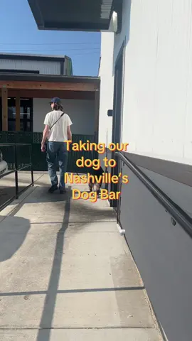 We loved Urban Dog Bar 🐾🍻 Let us know if you go! #thingstodoinnashville #nashville #dogfriendly #dogs #dogtok 