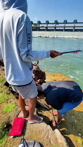 niate golek iwak sak spion fuso. jebule mung panasen koyok di sembur nogo🔥 #mancingmaniamantap #microfishing #xybca #mancingliar #fyppppppppppppppppppppppp 