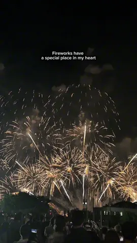 Summer Tradition in Japan 🎆🎇🫶 #fireworks #japan #hanabi #lakebiwa #summerfestival #hamaotsu #sparkle 