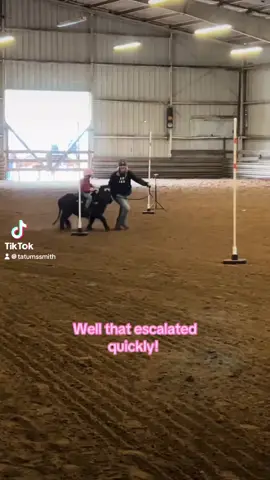 Crazy little horse girl 🐎 #polebending #cowgirl 